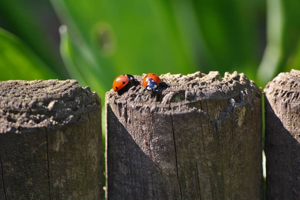 duurzaam geluk duurzaam geluk