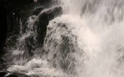 Nee zeggen? Daar begin ik niet aan!