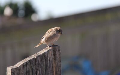 Ga ervoor! 3 tips om angst te overwinnen!