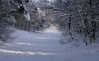 3 signalen dat je op het juiste pad zit