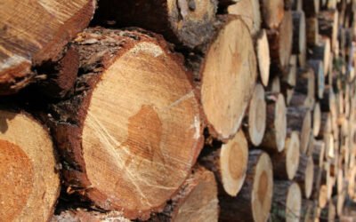 Ervaar jij genoeg overvloed?