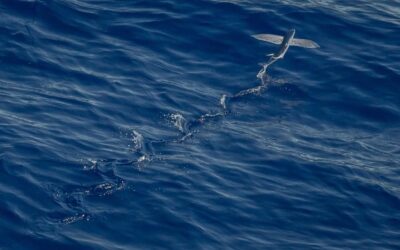 Handen uit de mouwen voor meer zelfvertrouwen