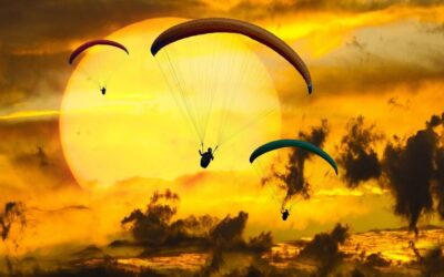 Het succes van Veldsterkte is geen rocket science!