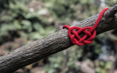 Liefde, waarom zo ingewikkeld?