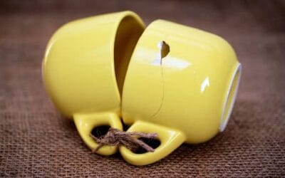 Zelfcompassie: is het ook voor jou weggelegd?