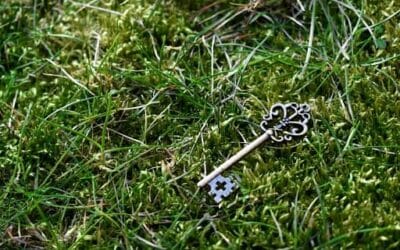 De sleutel tot geluk die vaak niet wordt gezien